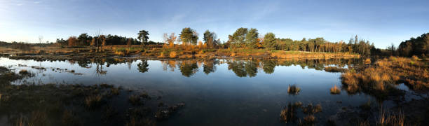 istock Mystic winter wetland 1071567032