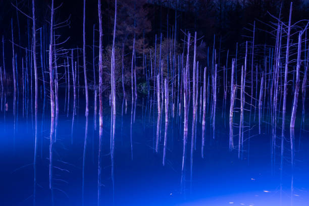 istock The lake which was lighted up in Biei 1071572388