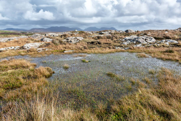 istock Bog at Derrigimlagh, Connemara, Galway, Ireland 1071582410