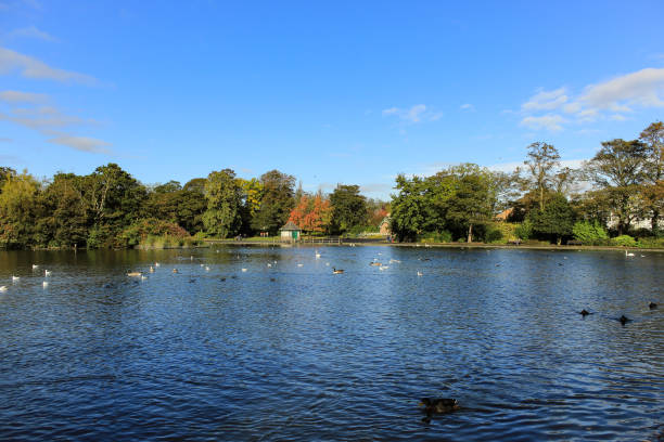 istock a beautiful lake in a park on a sunny day 1071585136