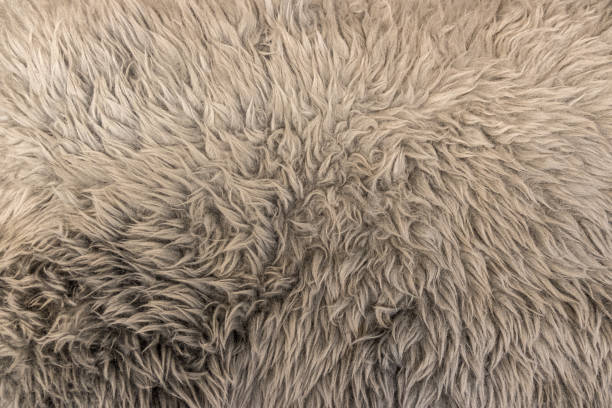 istock Very fine fake fur carpet texture background 1071587154