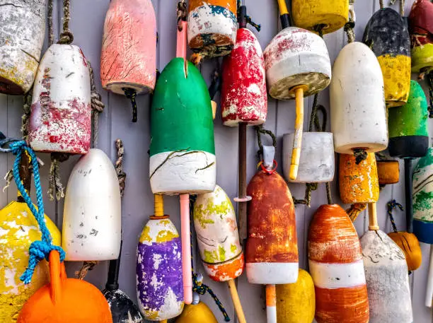 Photo of Lobster buoys on wall in Maine