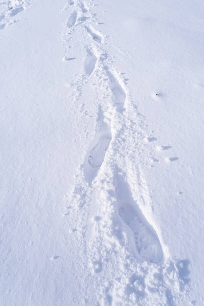 istock Footprint and hands on snow 1071598686