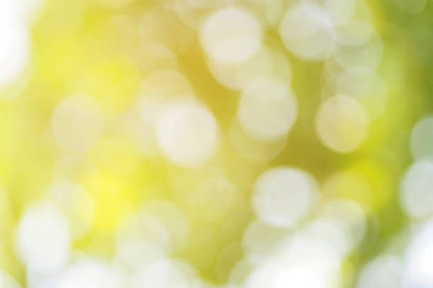 istock blurred of nature lights background 1071599574