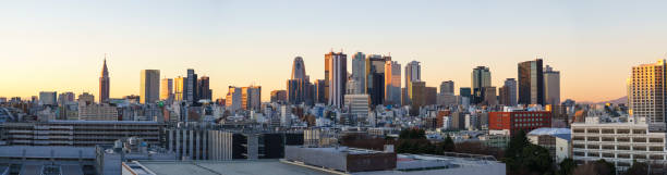 istock Tokyo early morning skyline 1071603348