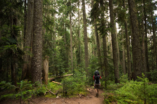 istock Father and daughter bonding in nature 1071611014