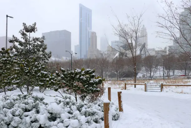 Photo of Christmas in Chicago. Modern architecture and cityscape background.