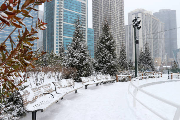 istock Christmas in Chicago. Modern architecture and cityscape background. 1071612654