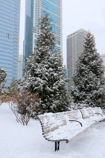 istock Christmas in Chicago. Modern architecture and cityscape background. 1071612674
