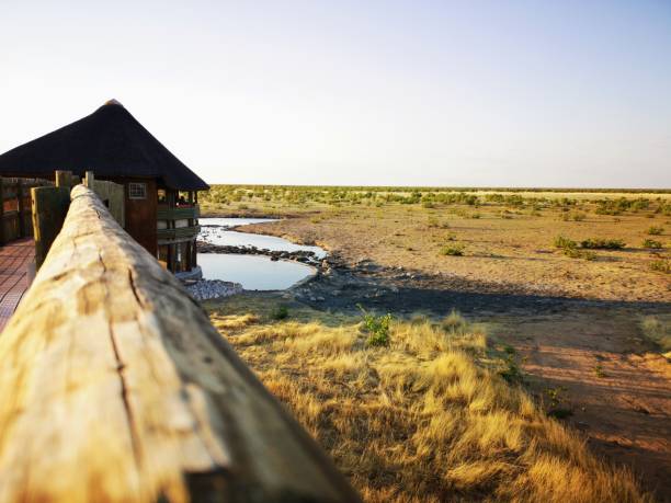 istock Olifantsrus campsite etoshanationalpark namibia 1071612924