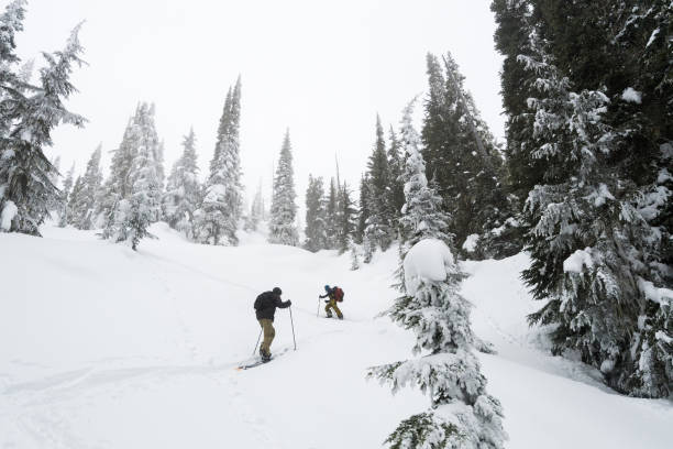 istock Backcountry snowboarders ascending for fresh lines 1071633764