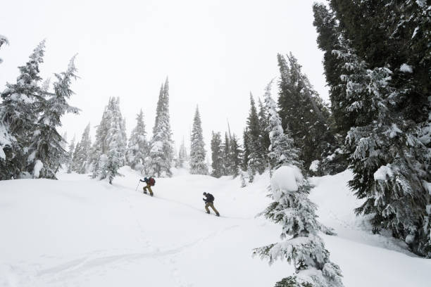 istock Backcountry snowboarders ascending for fresh lines 1071633778
