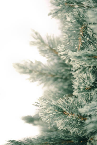 istock Merry Christmas home decoration 1071636920