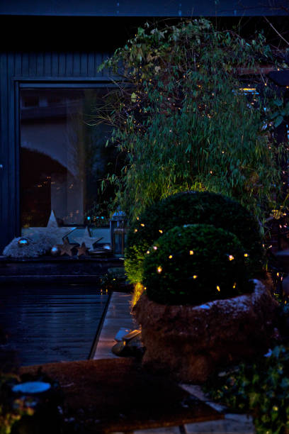 istock Christmas garden decoration 1071650214