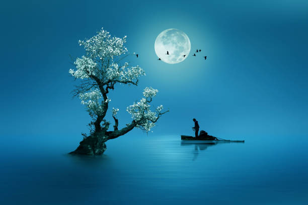 la luna brilla magnificamente sul paese dei sogni illuminando il pescatore - lonely tree immagine foto e immagini stock