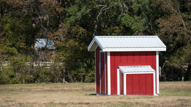 istock Small red and white shed in grassy field 1071657562