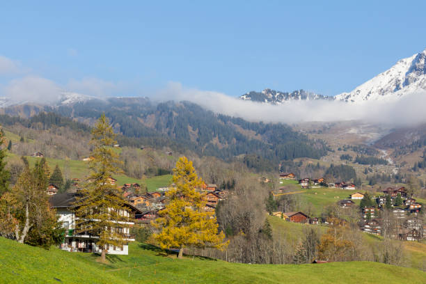 istock Grindelwald village in Switzerland 1071664886