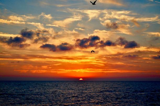 istock Sea, seagulls and sunset 1071668286