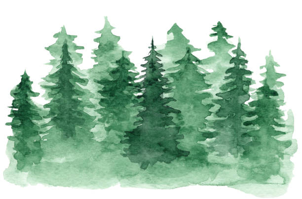 Watercolor background with green coniferous forest Beautiful watercolor background with green coniferous forest. Mysterious fir or pine trees illustration for winter Christmas design, isolated on white background woodland stock illustrations