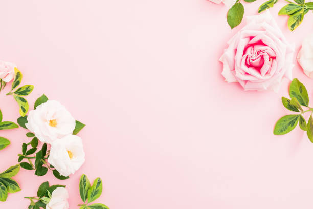 istock Floral frame composition with roses and leaves on pastel pink background. Flat lay, top view. Valentines day 1071690016