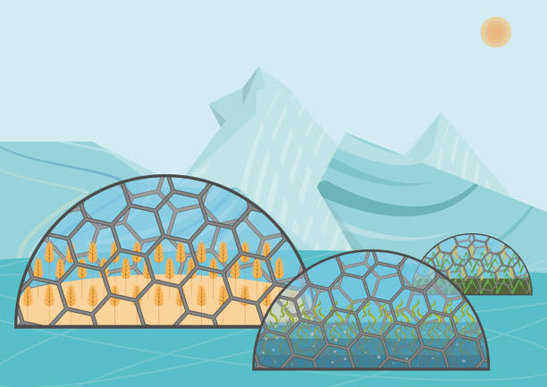 illustrations, cliparts, dessins animés et icônes de système écologique fermé. concept d’utilisation - cupola