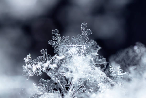 istock natural snowflakes on snow, winter 1071693568
