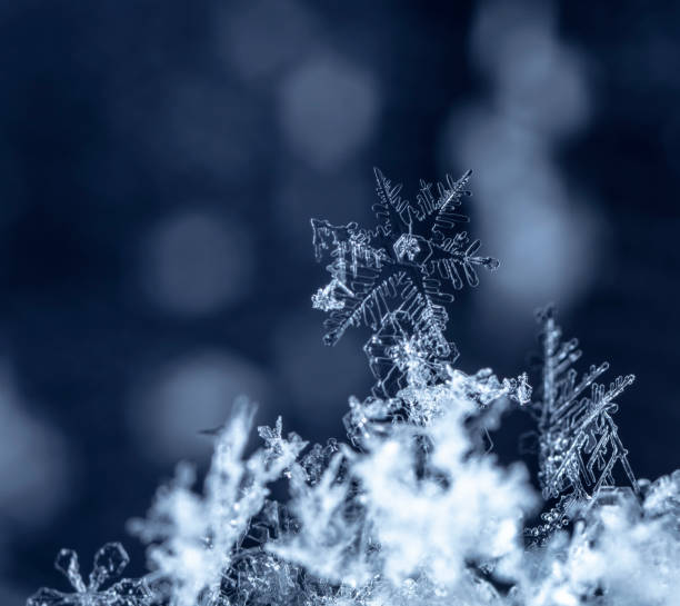 istock natural snowflakes on snow, winter 1071693574