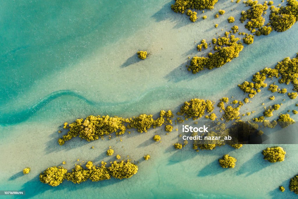 Texture. Aerial view of Waiwera River, near to Waiwera thermal pools in Auckland, New Zealand. Landscape - Scenery Stock Photo