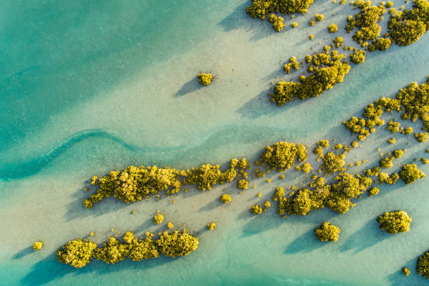 Texture. Aerial view of Waiwera River, near to Waiwera thermal pools in Auckland, New Zealand. oceania stock pictures, royalty-free photos & images