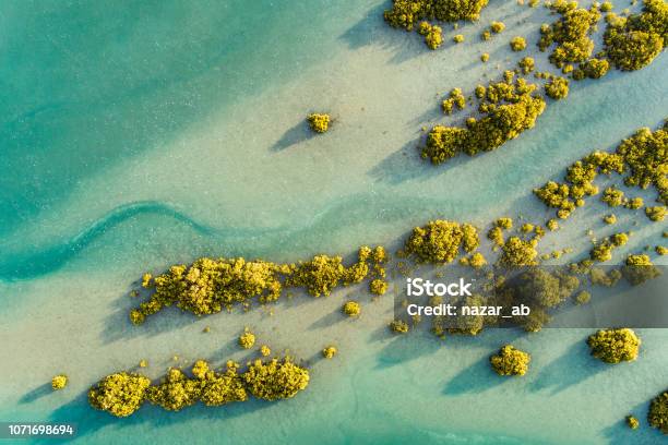Texture Stock Photo - Download Image Now - Landscape - Scenery, New Zealand, Aerial View