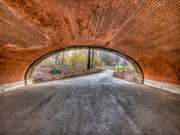 istock Central Park, New York City in spring 1071703128