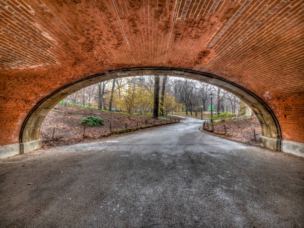 istock Central Park, New York City in spring 1071703136