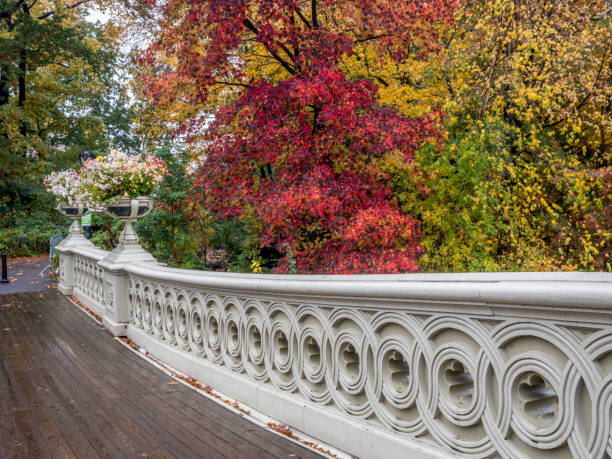 istock Bow bridge,Central Park, New York City 1071703164