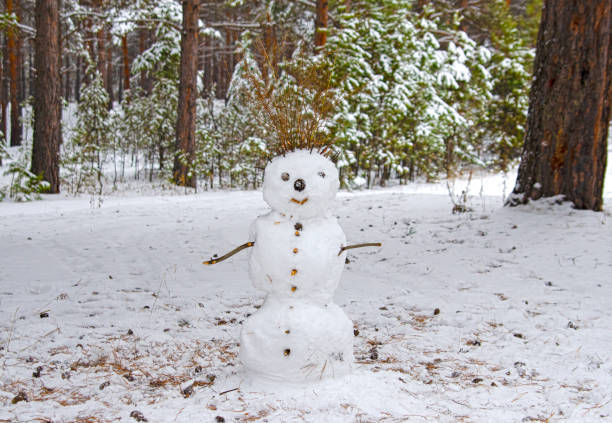 istock Lonely, smiling snowman stands in the forest 1071705640