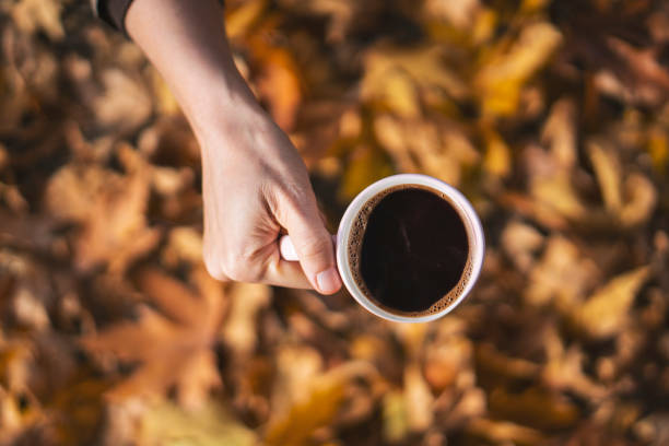 istock Autumn leafs and coffee cup on wooden table. 1071712210