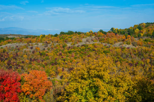 istock Mountain landscape woods,hills, clouds and sky, Serbia 1071714448