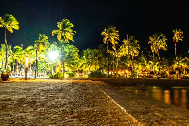 istock Night view on a tropical island 1071725270