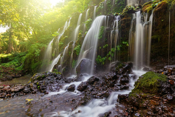 istock Bali Waterfall Banyu Wana Amertha 1071734148