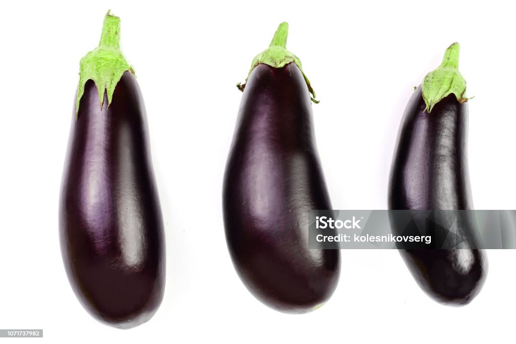 가지 또는 가지 흰색 배경에 고립입니다 최고의 볼 수 있습니다 평면 위치 패턴 0명에 대한 스톡 사진 및 기타 이미지 - 0명 ...