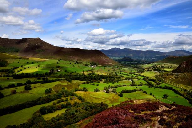 istock The purple heather of Scope End 1071738340