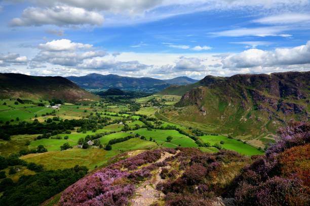 istock The purple heather of Scope End 1071739648