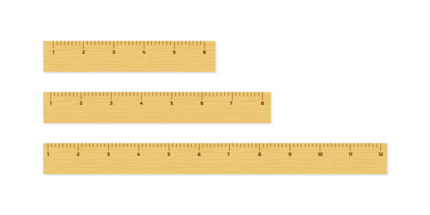 istock Wooden different size rulers 6, 8 and 12 inch long isolated on white background. Vector illustration. 1071748692