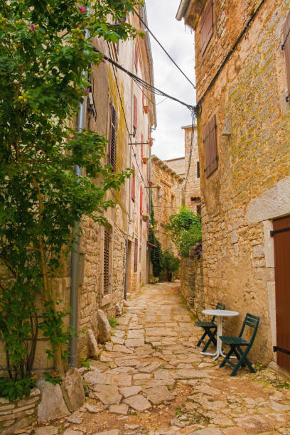 istock Street in Bale 1071751502