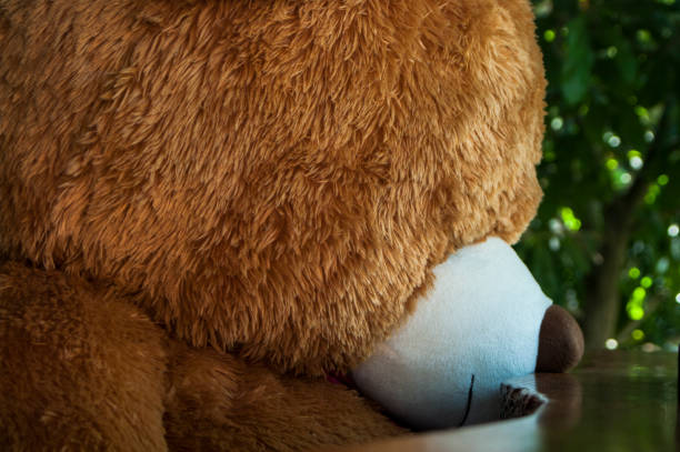 istock Teddy Bear ; Brown Bear doll / Sad bear doll 1071752638