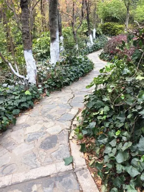 Photo of Pathway in the Lotus Pond Garden (Kunming, Yunnan, China)