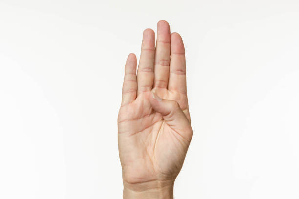 istock Alphabet in American Sign Language 1071754610