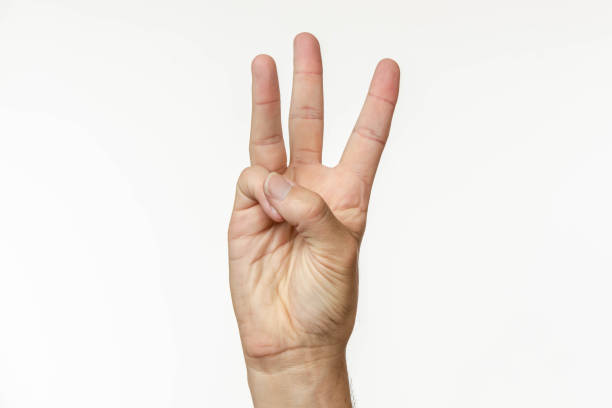 istock Alphabet in American Sign Language 1071754626