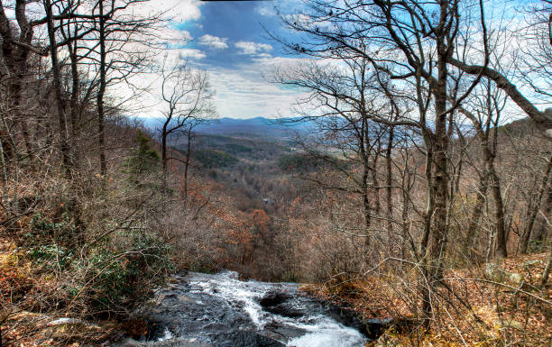 Stream running through the winter woods with the blue ridge mountains North Carolina, in the background