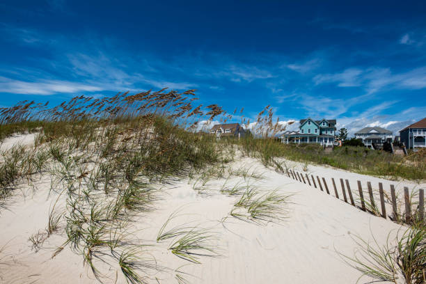 istock Seagrass on a sand dune by the ocean 1071754684