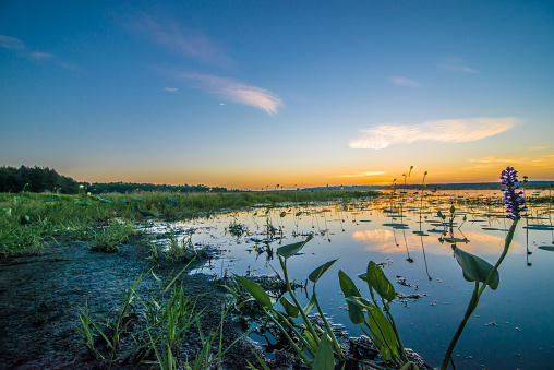 Sunrise over the marshy grass at Lake Jackson FL.